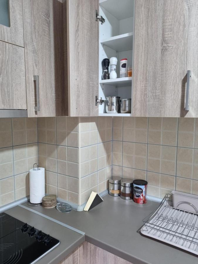 Apartman Ristanovic Banja Koviljača Eksteriør billede